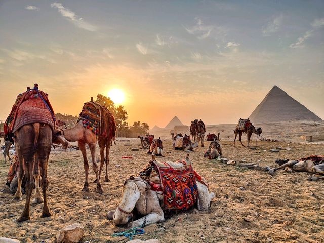 Camel ride in Giza Piramids Complex