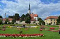 Discovering the Charms of Vienna