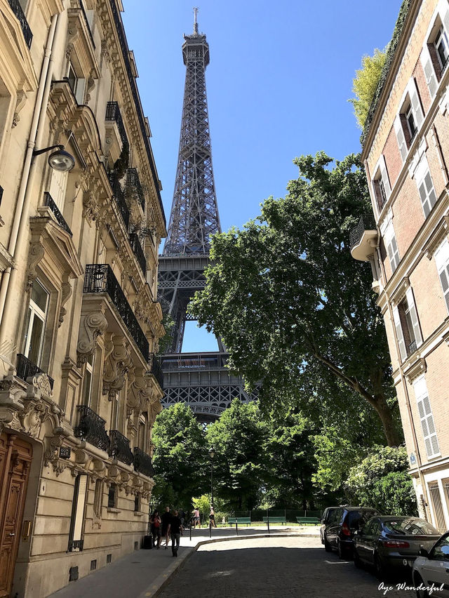 Parisian Elegance: City of Lights🇫🇷🥖