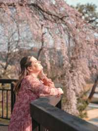 🌺 한국과학기술원 오리연못 🌸