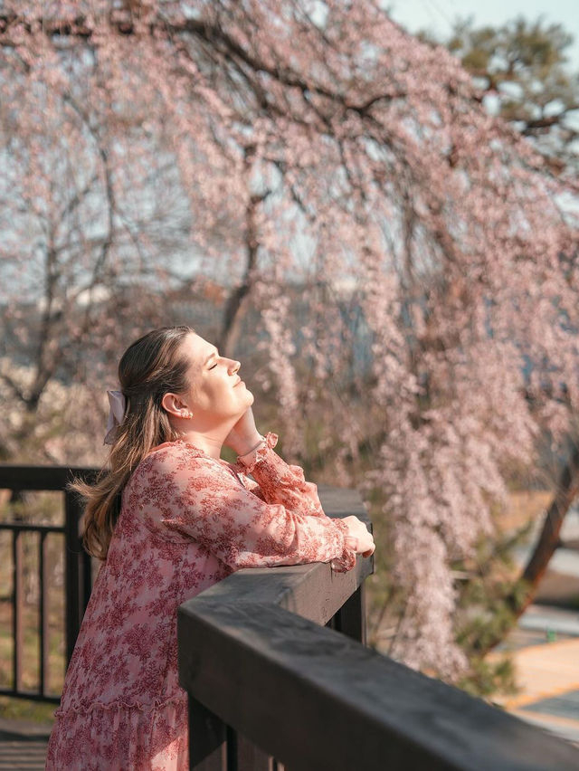 🌺 한국과학기술원 오리연못 🌸