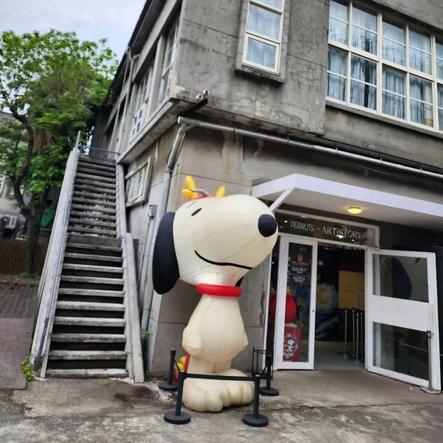 🪁華山1914文創園區🌺創意體現，生活美學的區域✨️