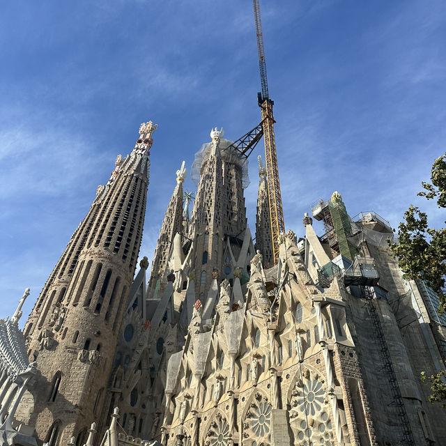 Highlight of Barcelona 