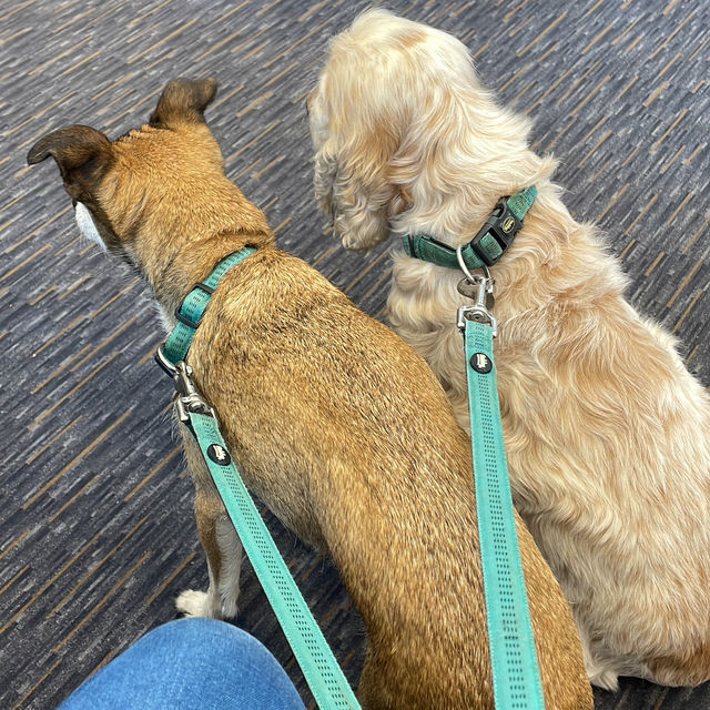 First train ride