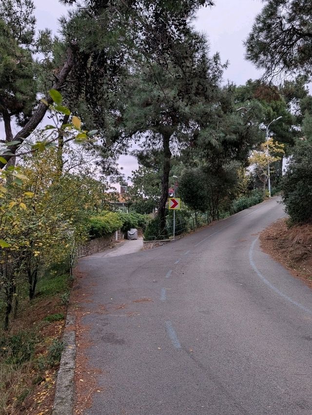 Heybeliada: A Peaceful Escape from Istanbul