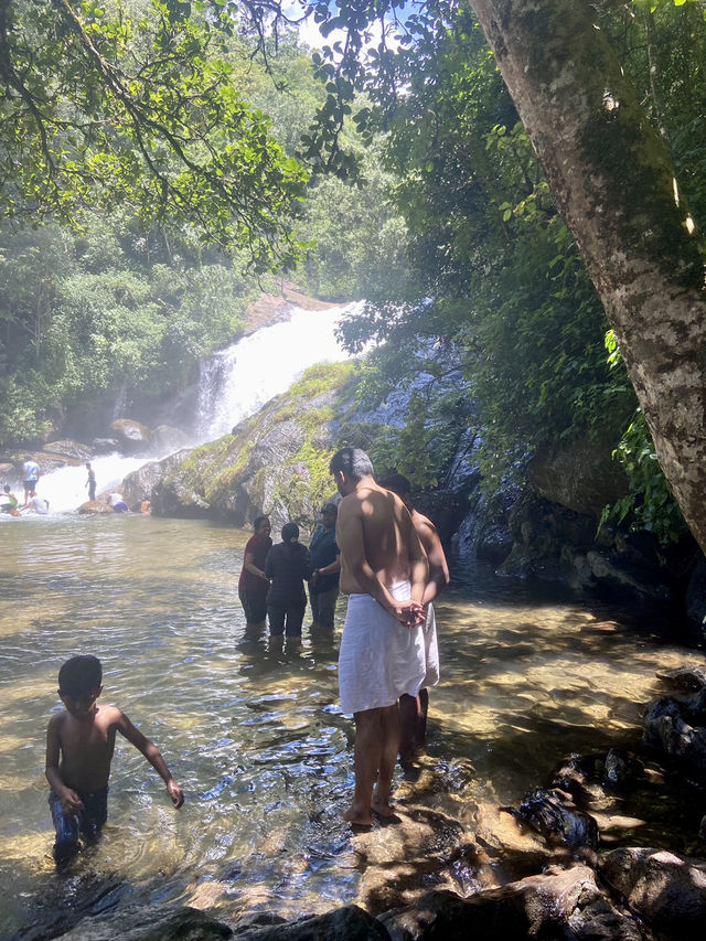 Birdwatching Around Lakkon Falls