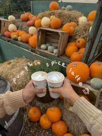 가을에 런던에서 꼭 가봐야할 pumpkin patch 🎃