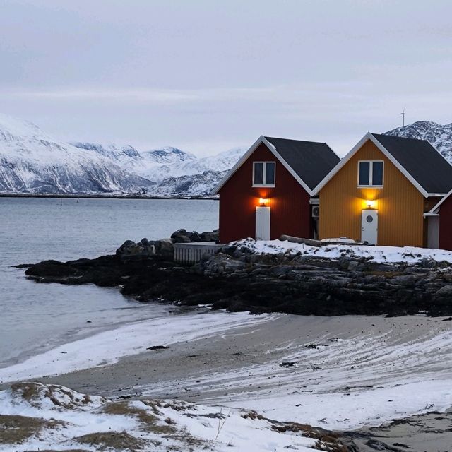 Polar night in Sommarøy (Norway)