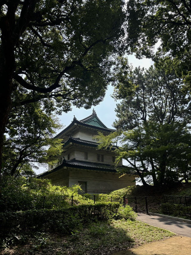 Tokyo Imperial Palace East Gardens: A Timeless Oasis in the Heart of Modernity