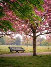 Spring in London: A Seasonal Dream 🌸🌷