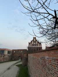🇵🇱  波蘭托倫條頓城堡遺址（Teutonic Castle ruins）