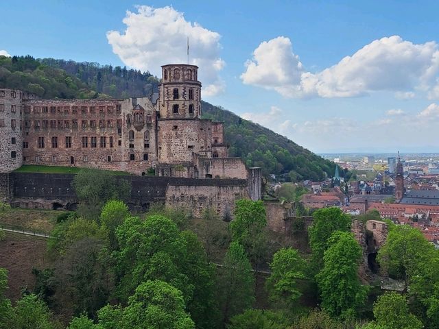 Highlights in Heidelberg