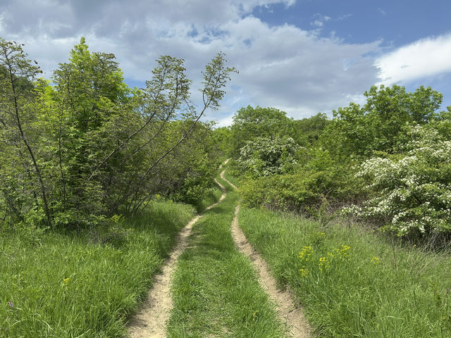 Mountain hikes without leaving Tbilisi!