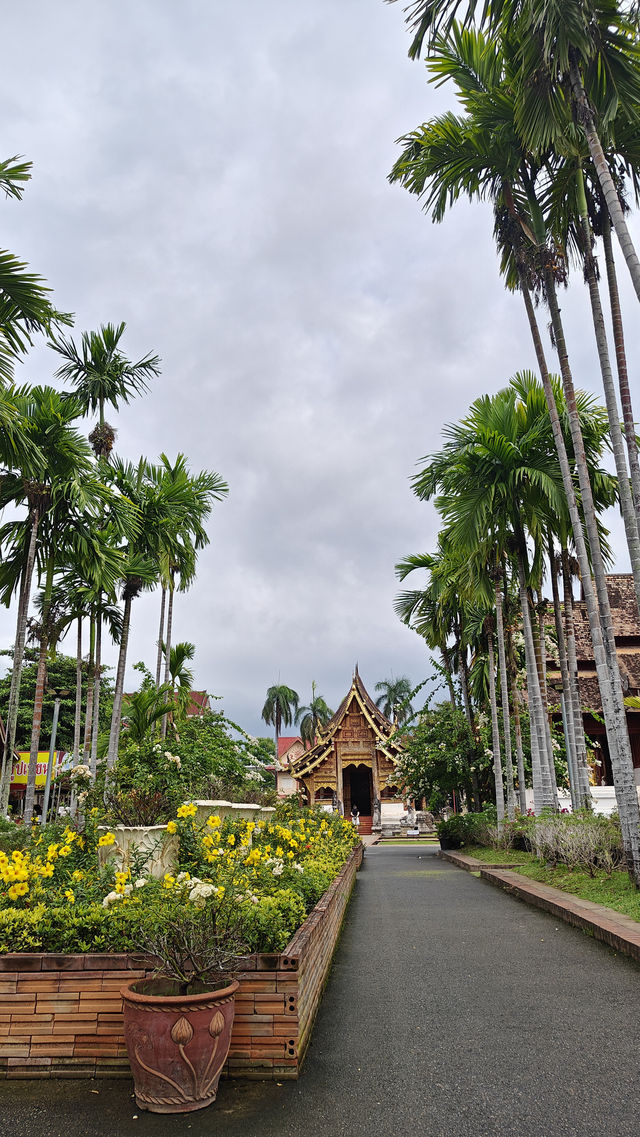 Chiang Mai’s Old City Temples – A Walking Tour Through History