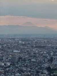 ✨ Best Spots for Tokyo Skyline Views: Free and Paid Options