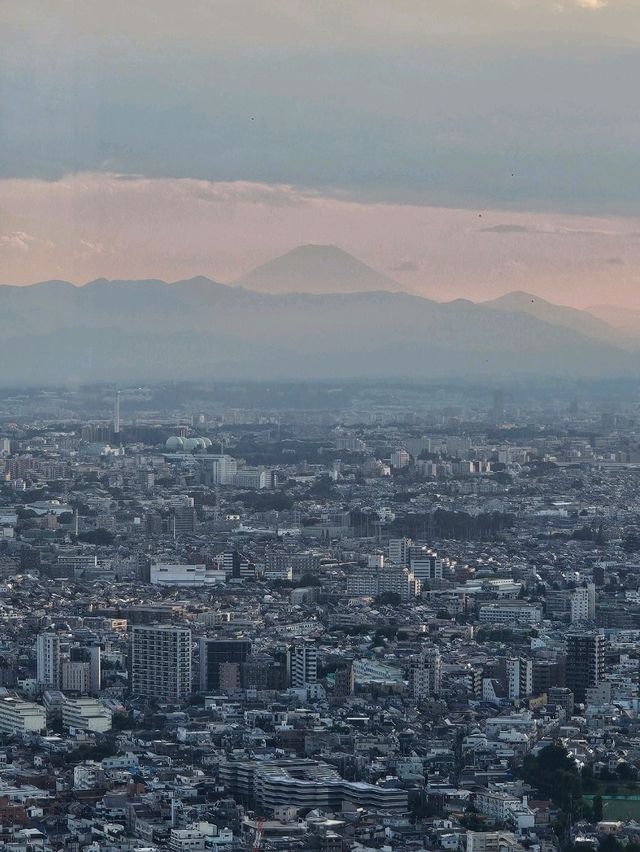 ✨ Best Spots for Tokyo Skyline Views: Free and Paid Options