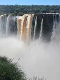 Nature’s Roar Echoes