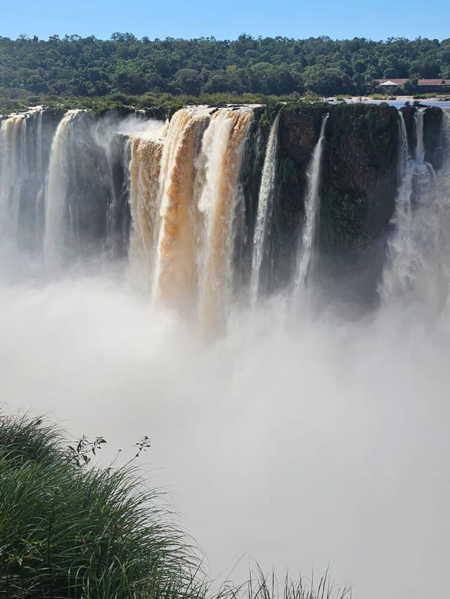 Nature’s Roar Echoes