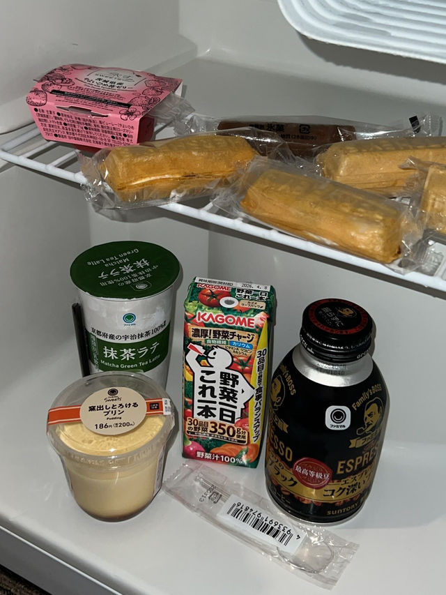 My 3 Days in Osaka, Japan