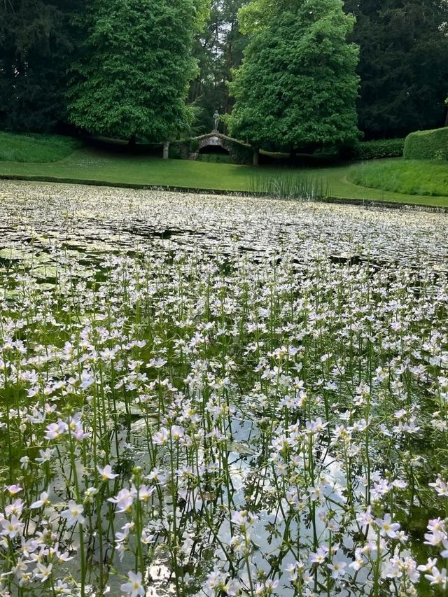 🌿 Rousham Gardens – England’s Timeless Landscape Escape