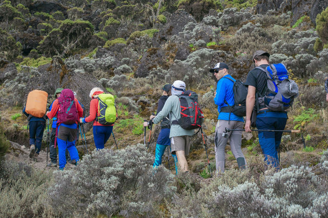 6 Days Kilimanjaro Climbing Group Joining Tour via the Machame Route