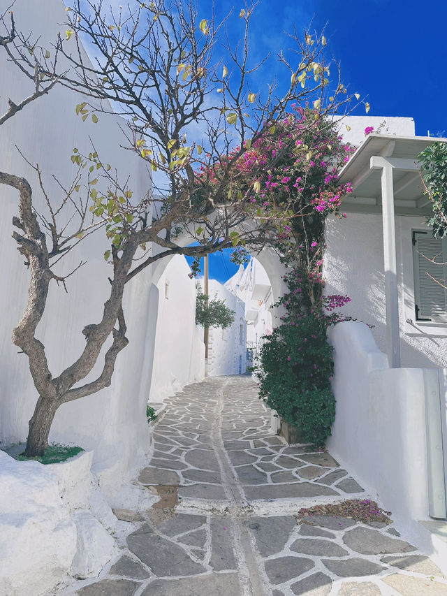 Summer in Paros