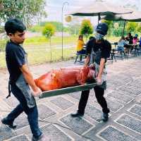 Bali Bucket List: Top Things to Do on the Island of the Gods