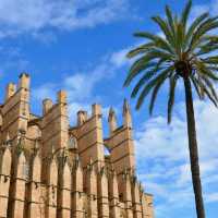 Sunshine and Serenity: My Trip to Mallorca