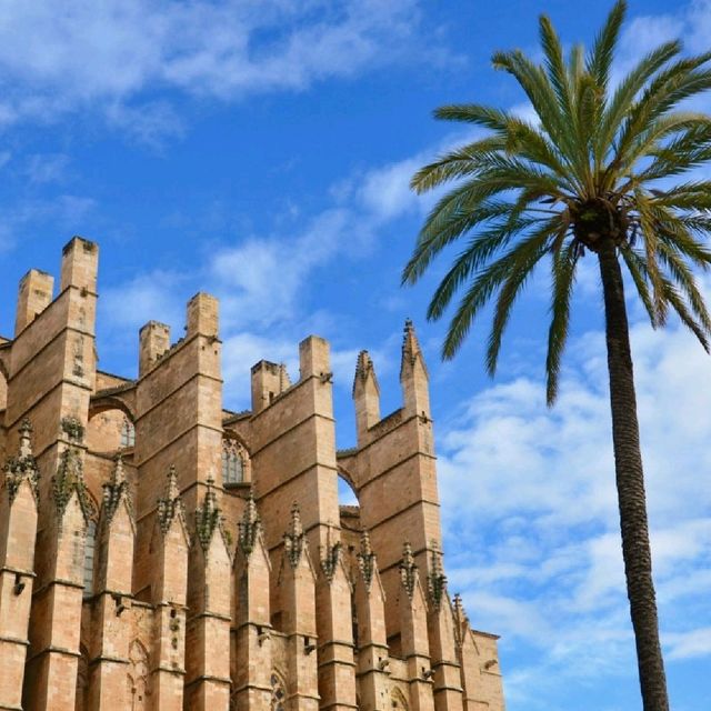 Sunshine and Serenity: My Trip to Mallorca