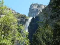 Is Yosemite the most beautiful national park in the world? 