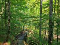 Bear Lake Transylvania