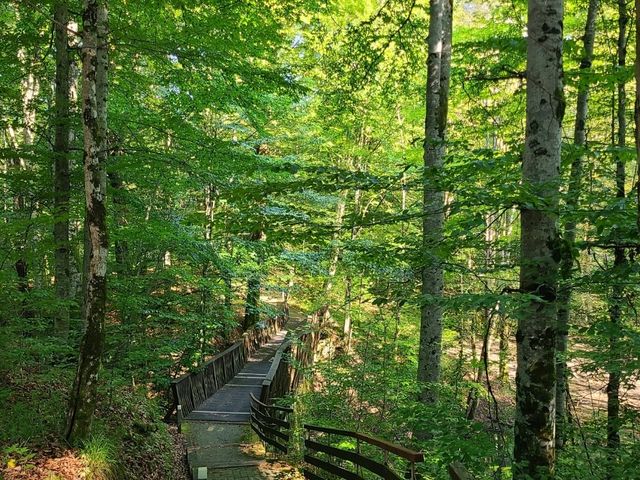 Bear Lake Transylvania