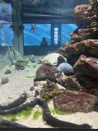 Durban Day Trip Itinerary