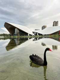 🖼️ Chengdu Art Museum – A Modern Canvas in the Heart of Sichuan