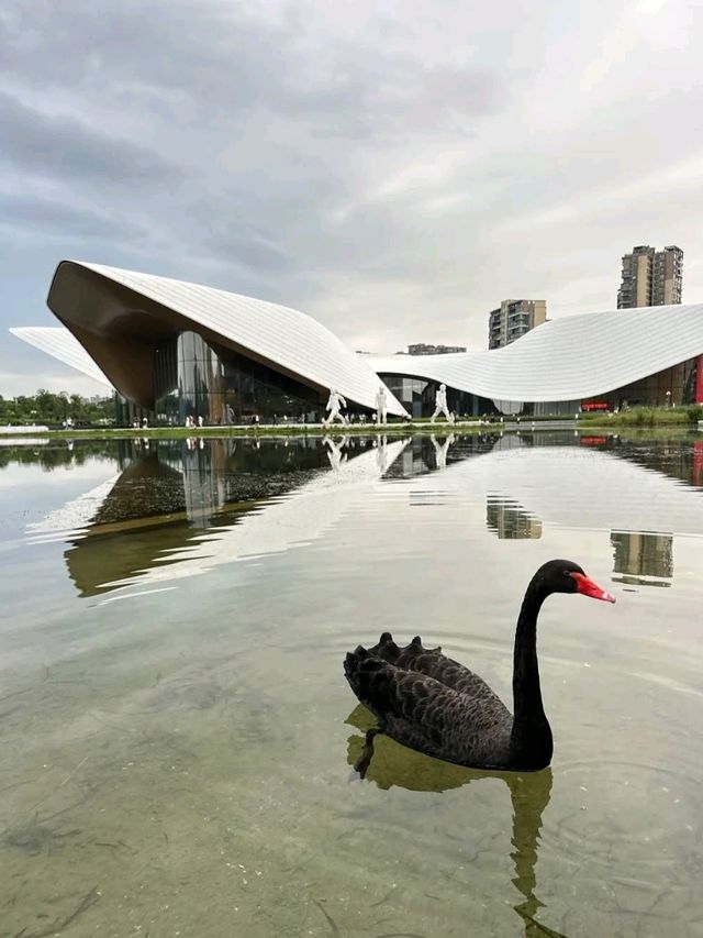 🖼️ Chengdu Art Museum – A Modern Canvas in the Heart of Sichuan
