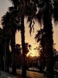 Discovering Málaga: A Perfect Blend of Sun, Culture & Tapas