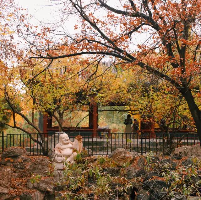 北京的大觀園：一個清朝幻想的文學綠洲