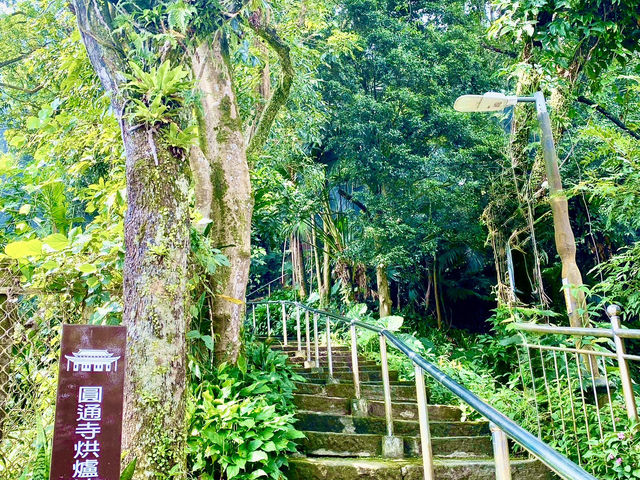 中和圓通寺連走土城清水大尖山