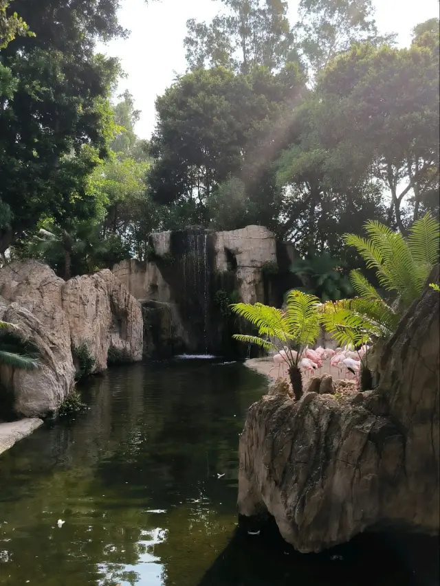 🦩 Bioparc Valencia: A Walk Through Wild Nature 🌿