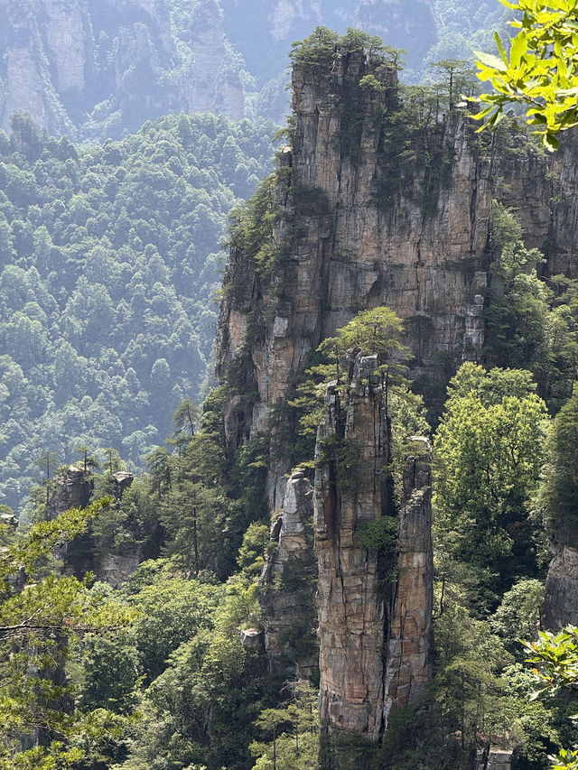 My time in Zhangjiajie