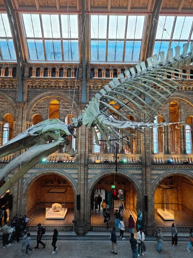 A Giant Welcome: My Encounter with Hope, the Blue Whale