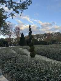 🍁 : I Found Japan in Krasnodar. A Story That Shook My Soul