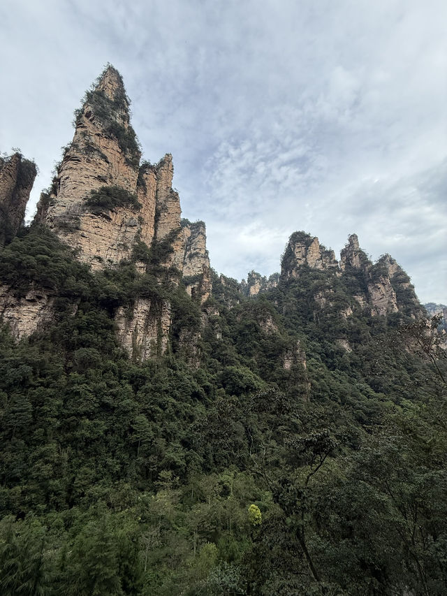 Avatar Peaks Dream🗻 Avatar Peaks Dream🗻