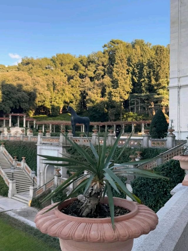 Sunlit Waterside🌊 Sunlit Waterside🌊