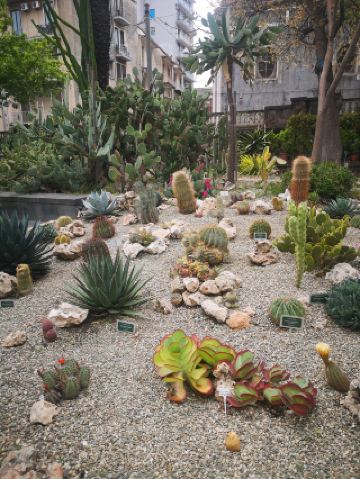 โอเอซิสเล็กๆ ในเมืองคาตาเนีย