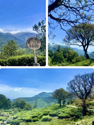 Twilight Reflections