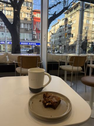 Café-Hopping Vibes in Timișoara: Epic Brews & Sweet Treats ☕🍰