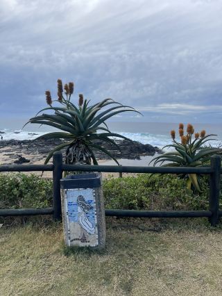 Zulu Coast Escape✨