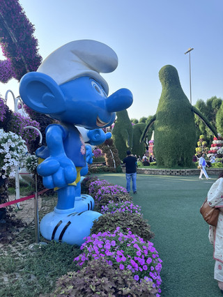  Dubai Miracle Garden — 沙漠中綻放百萬花朵的地方