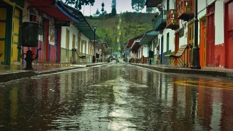 Salento — The Colombian Coffee Town Where Wax Palms Touch the Clouds — traveler post in Salento